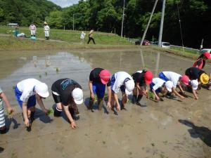 103田植え２